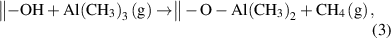 Equation (3)