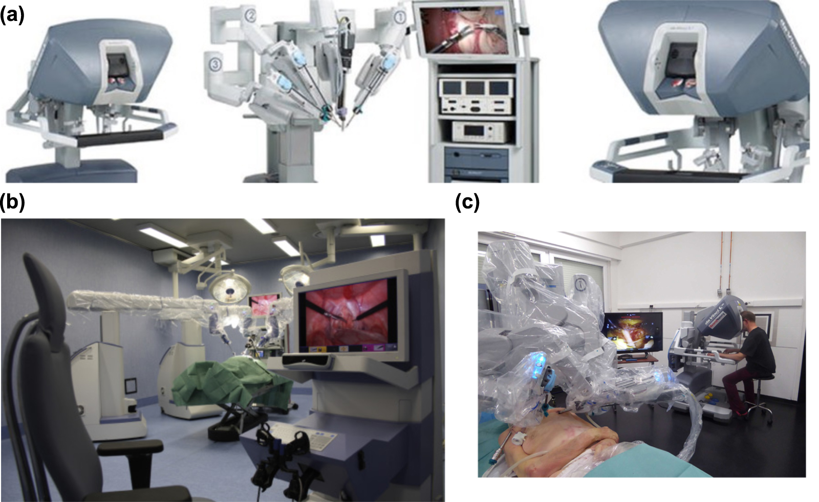 Robotic in situ bioprinting for cartilage tissue engineering - IOPscience