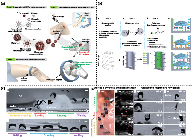 Robotic in situ bioprinting for cartilage tissue engineering - IOPscience