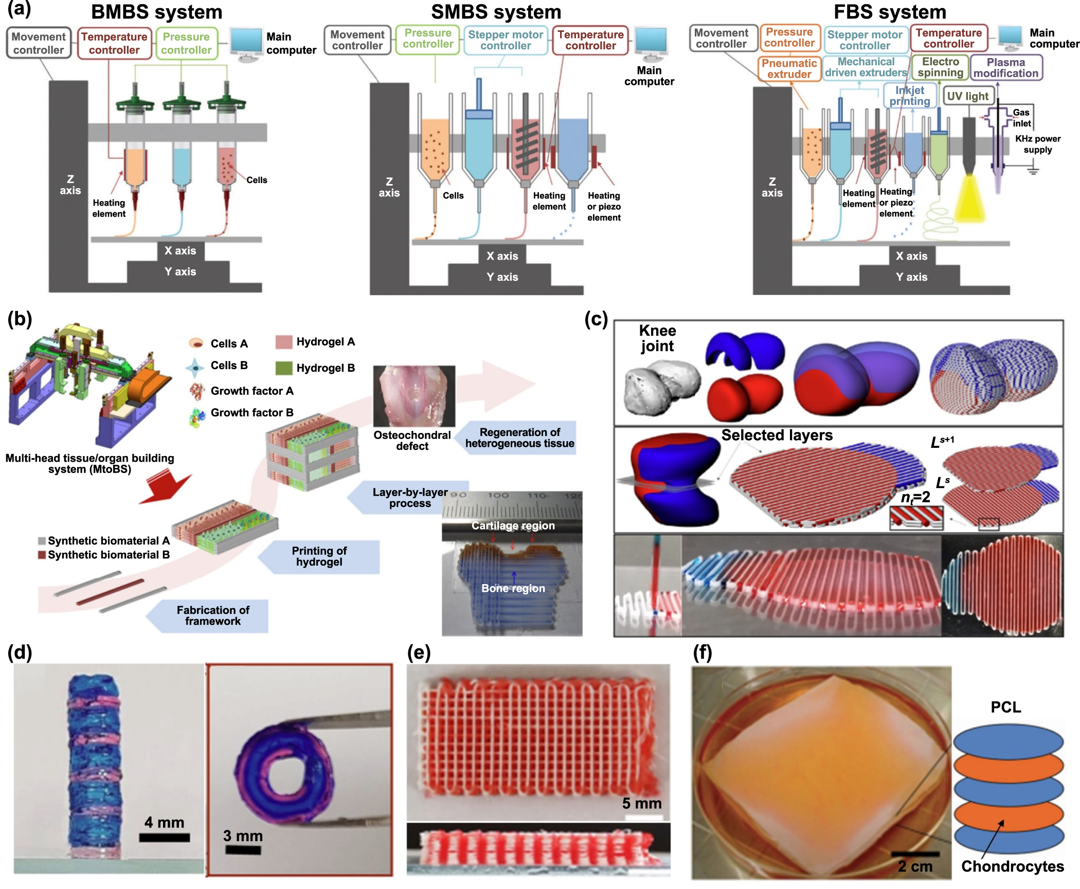 3D/4D printed bio-piezoelectric smart scaffolds for next-generation ...