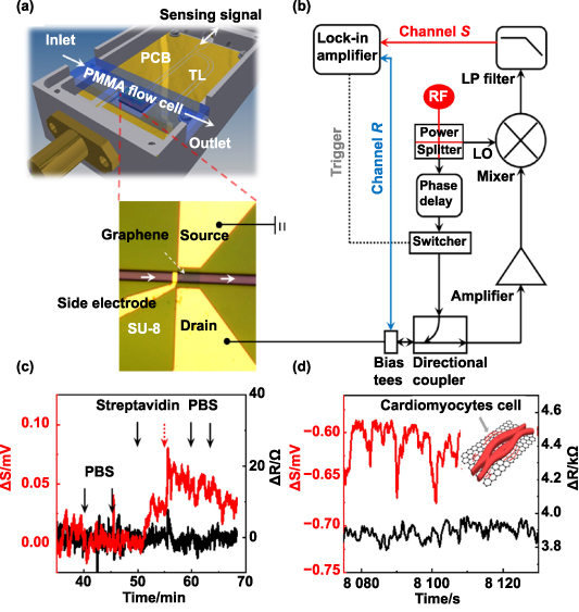 Rf Sensor Visualisation Radiofrequency sensing systems based on emerging two-dimensional ...