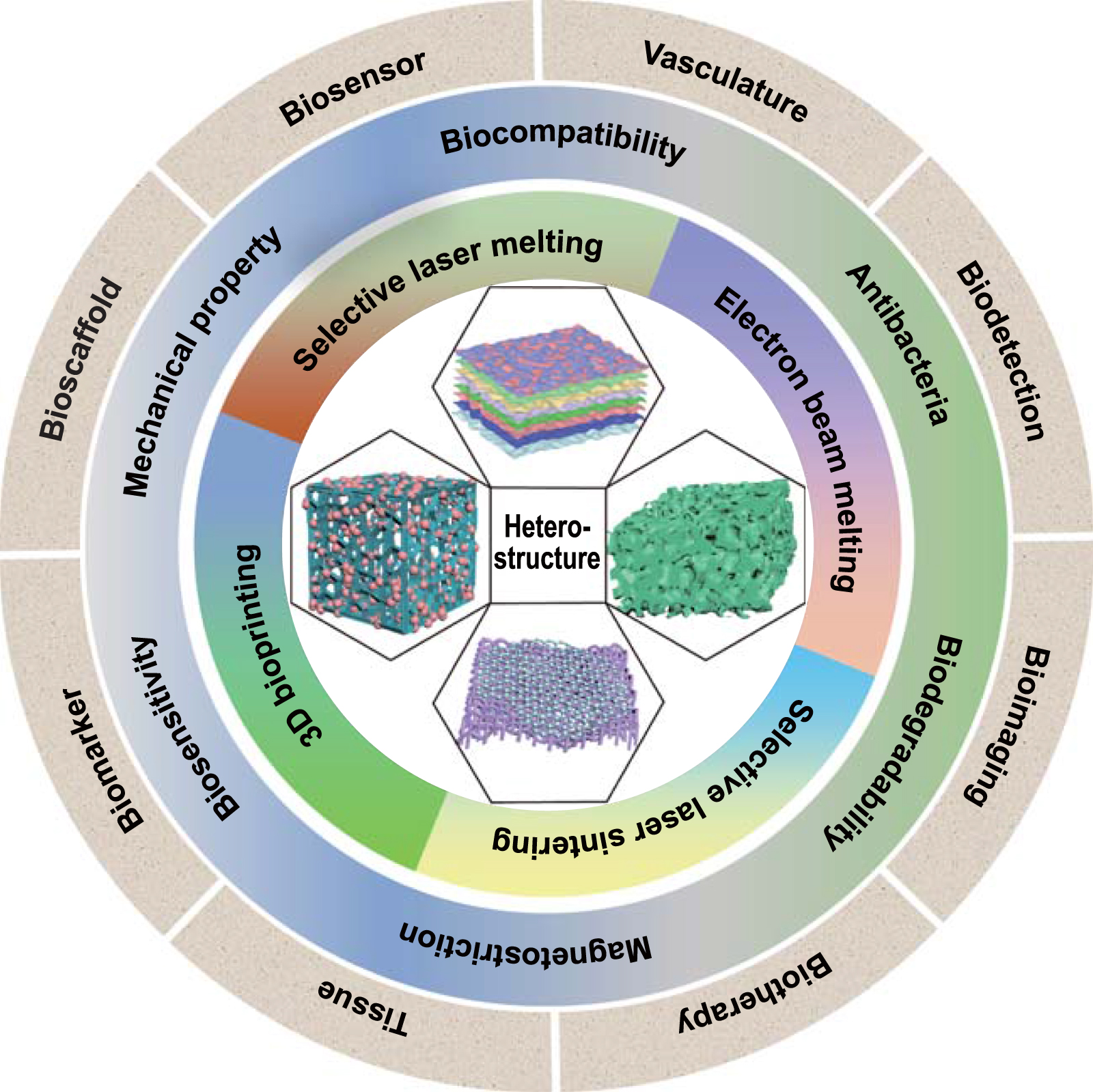 Additive manufacturing of promising heterostructure for biomedical ...