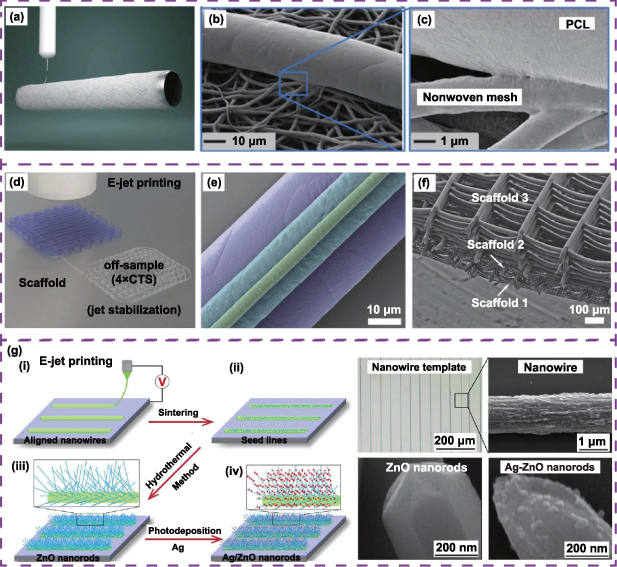 Additive manufacturing of promising heterostructure for biomedical