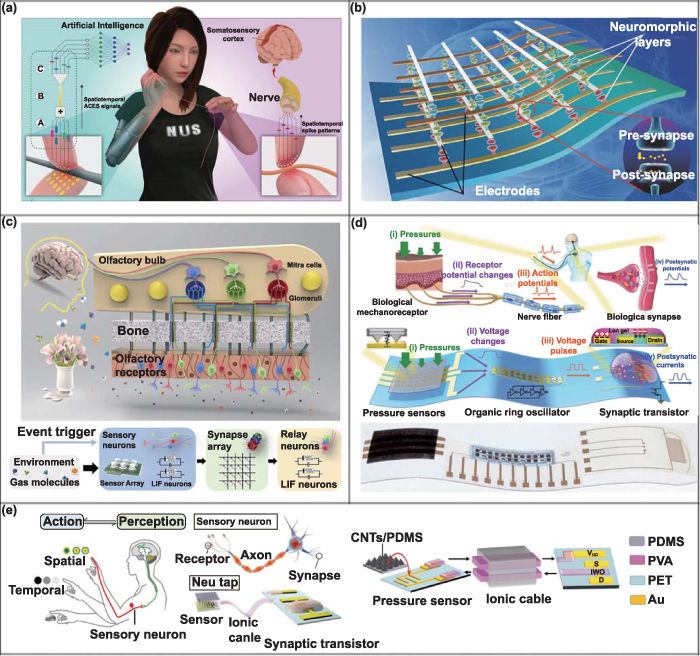 Nanomaterial-based flexible sensors for metaverse and virtual reality ...