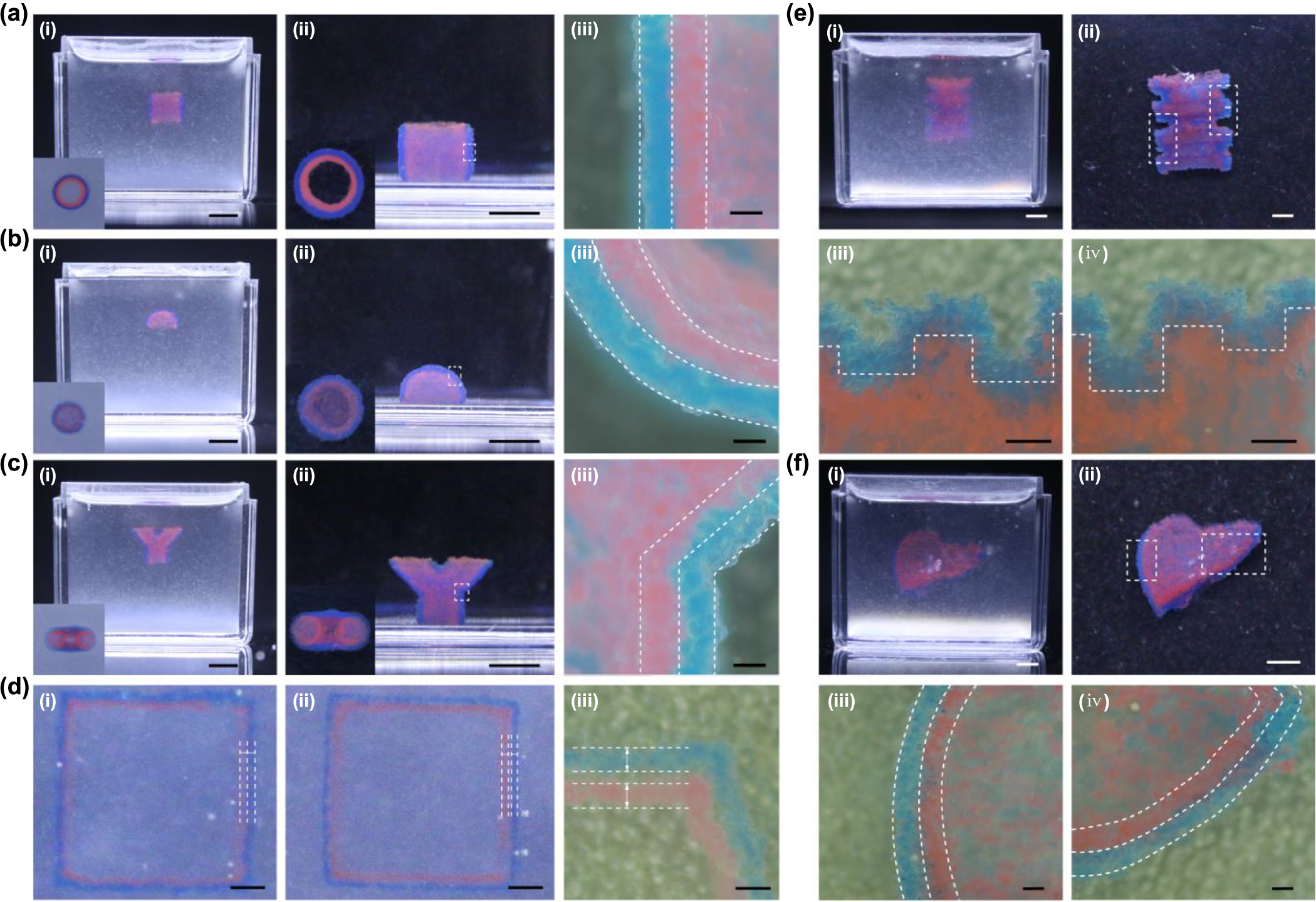 Embedded Print Effect Simultaneous multi-material embedded printing for 3D heterogeneous ...