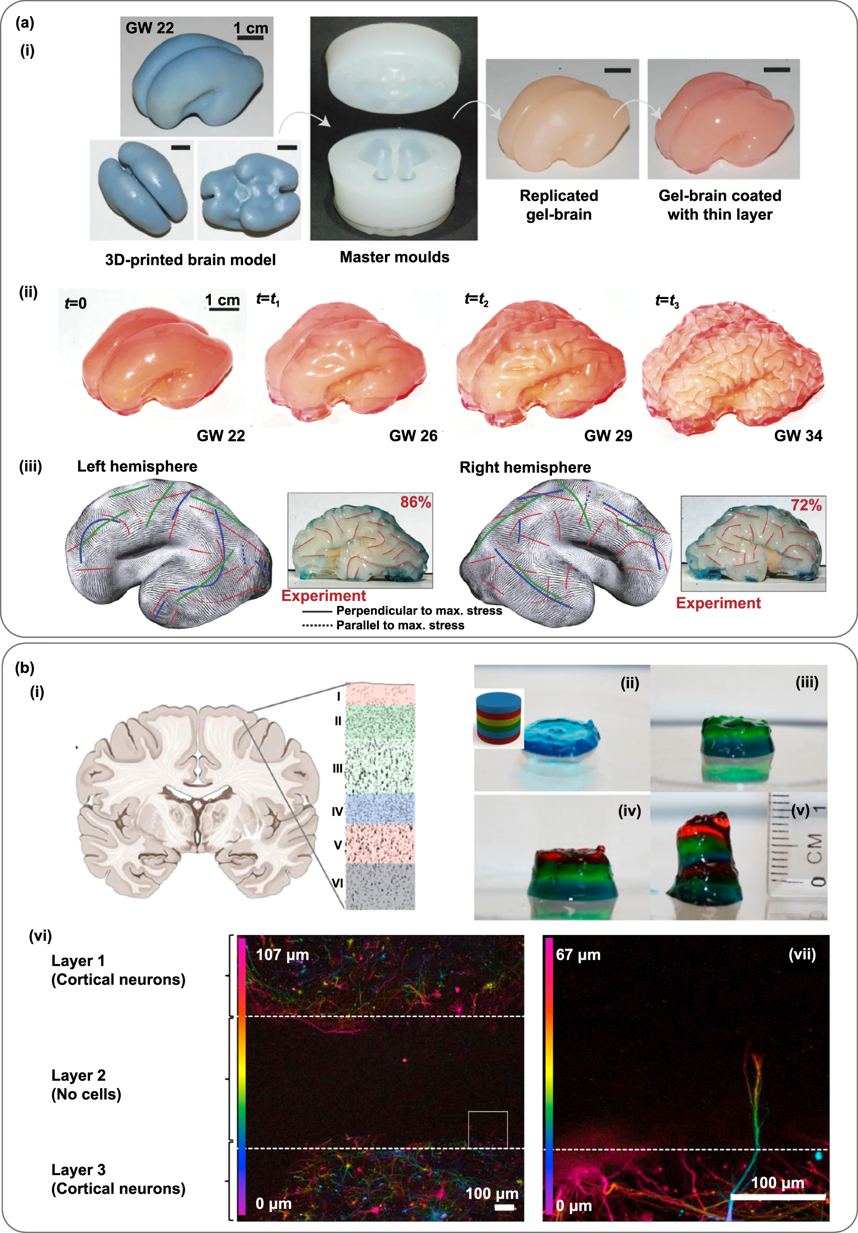 3D printing of functional bioengineered constructs for neural ...