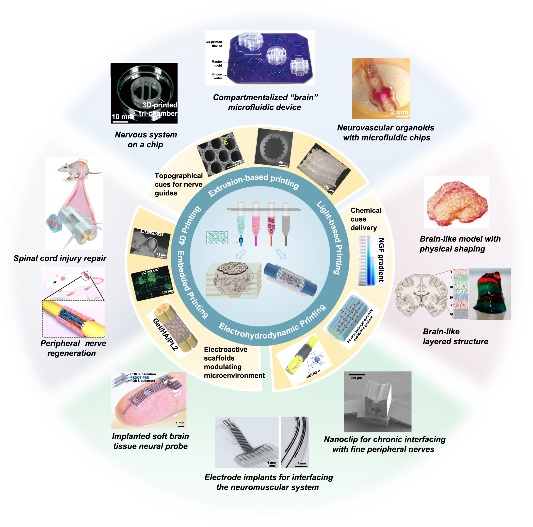 3D printing of functional bioengineered constructs for neural ...