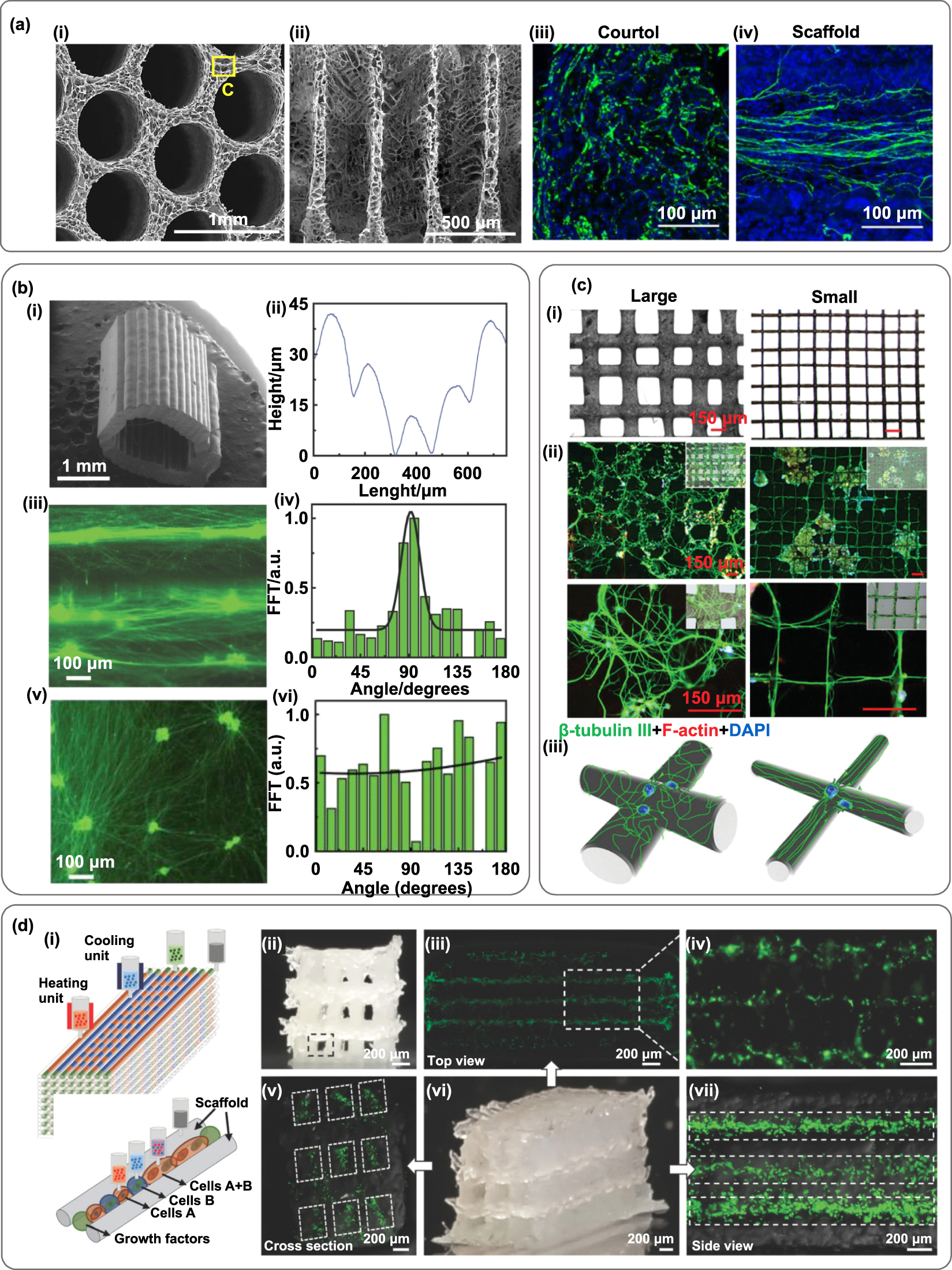 3D printing of functional bioengineered constructs for neural ...