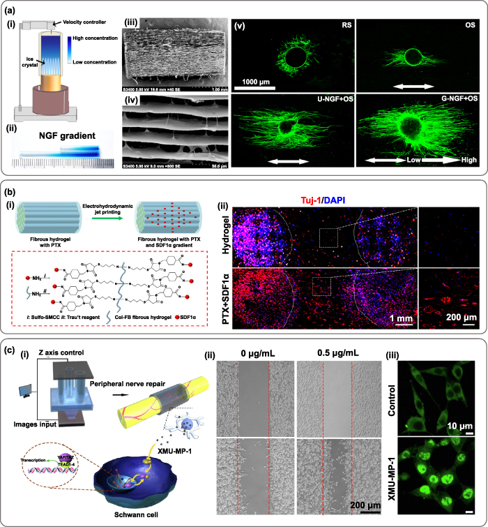 3D printing of functional bioengineered constructs for neural ...