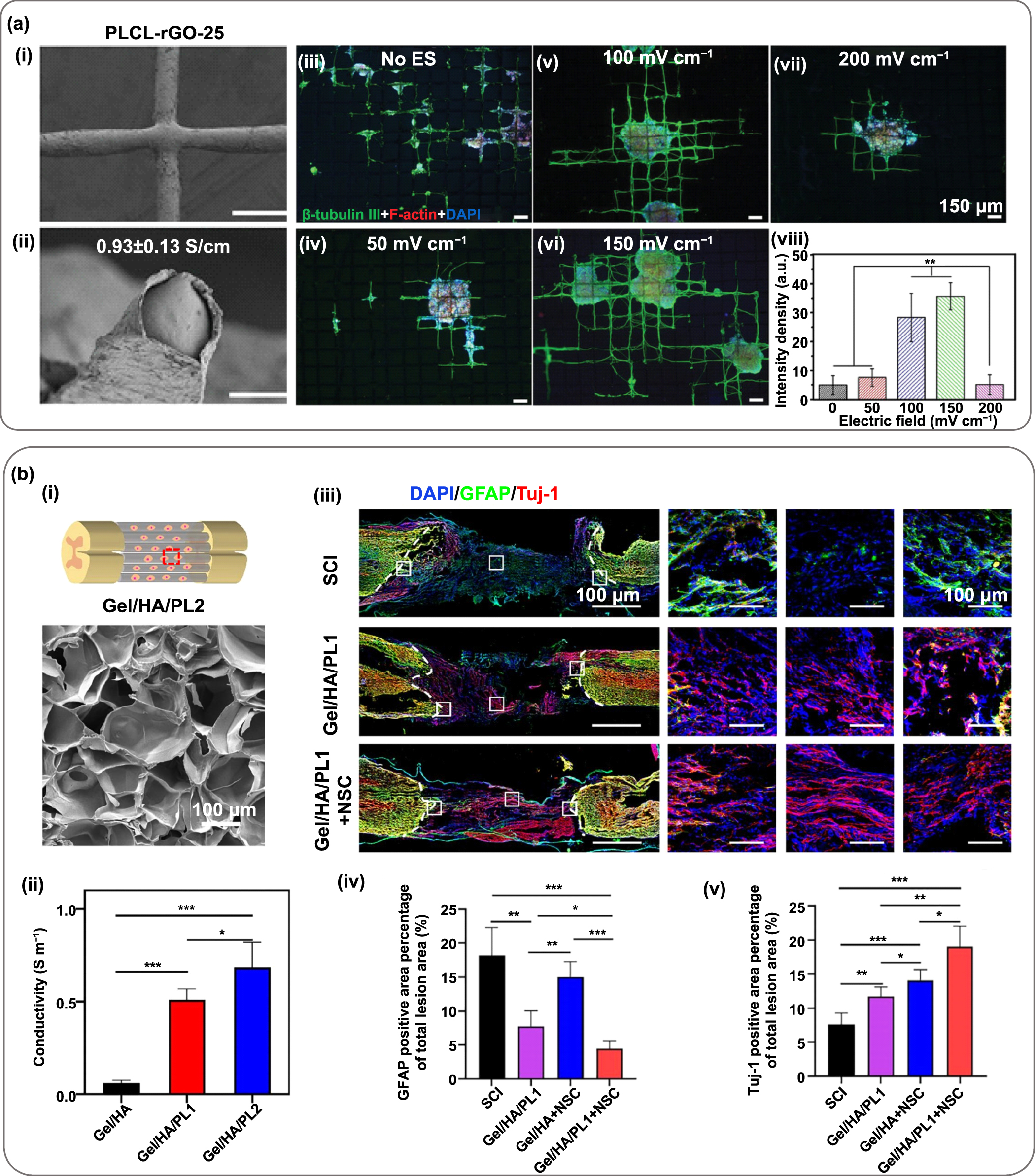3D printing of functional bioengineered constructs for neural ...