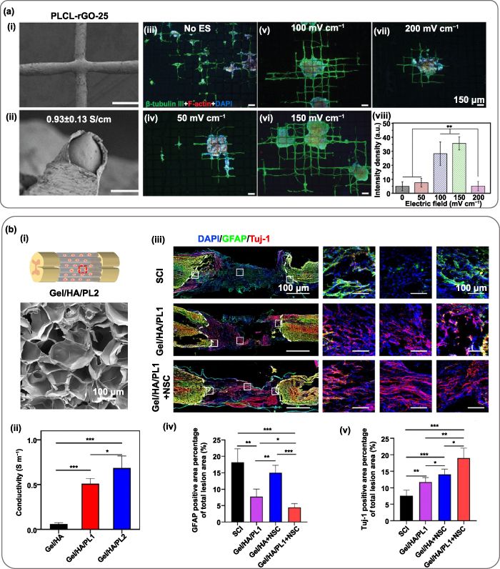 3D printing of functional bioengineered constructs for neural ...
