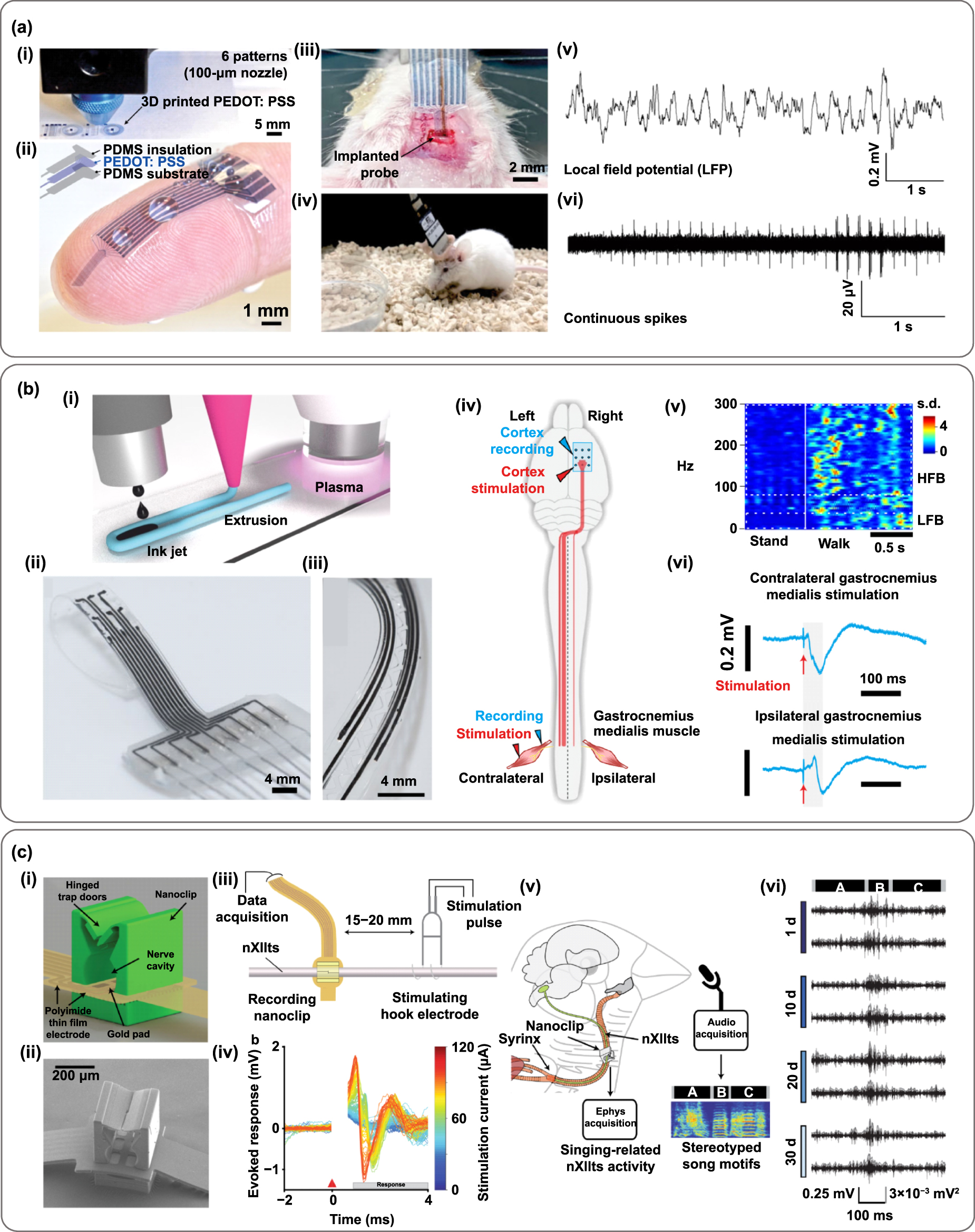 3D printing of functional bioengineered constructs for neural ...