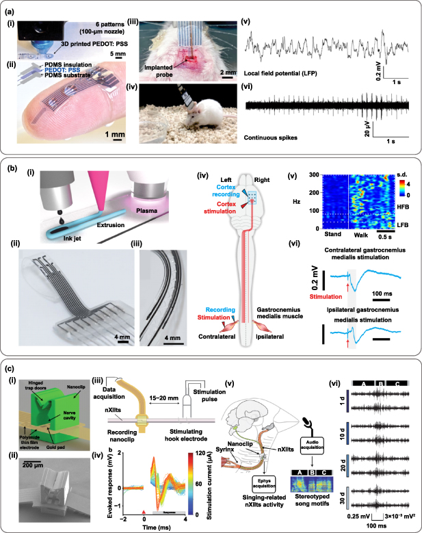3D printing of functional bioengineered constructs for neural ...