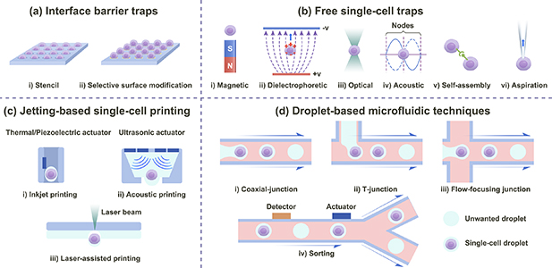 Biofabrication strategies with single-cell resolution: a