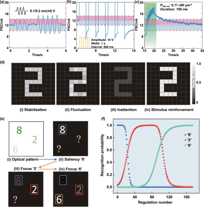 Manufacturing of graphene based synaptic devices for optoelectronic ...