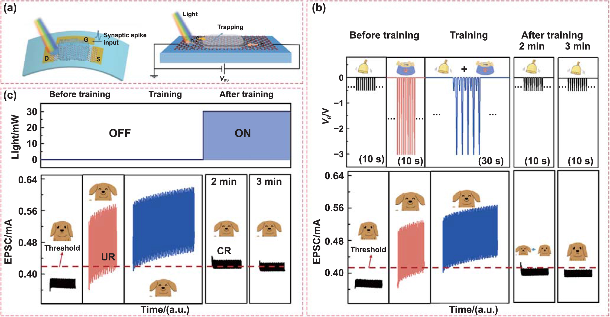 Manufacturing of graphene based synaptic devices for optoelectronic ...
