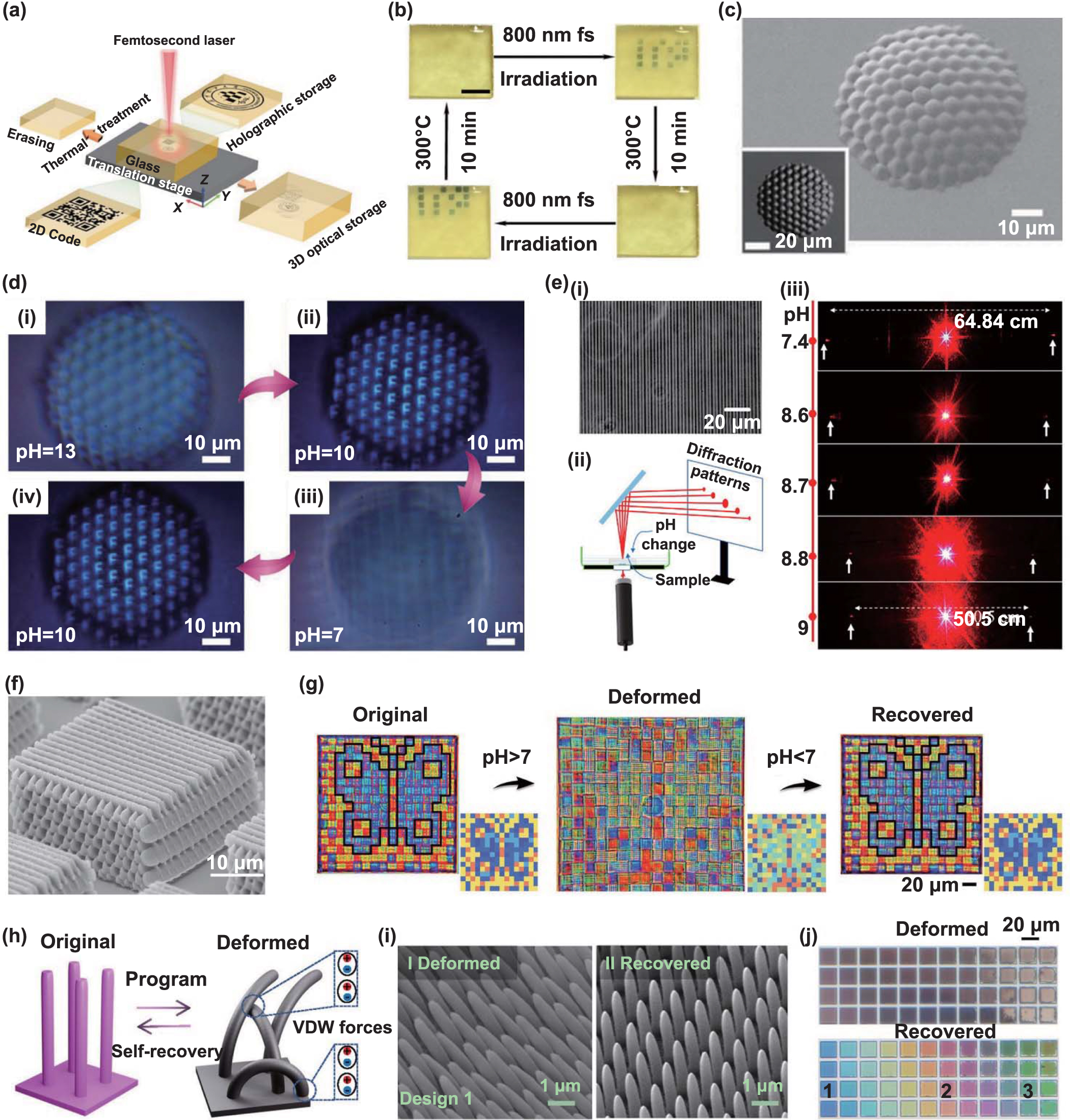 Femtosecond laser direct writing of functional stimulus-responsive