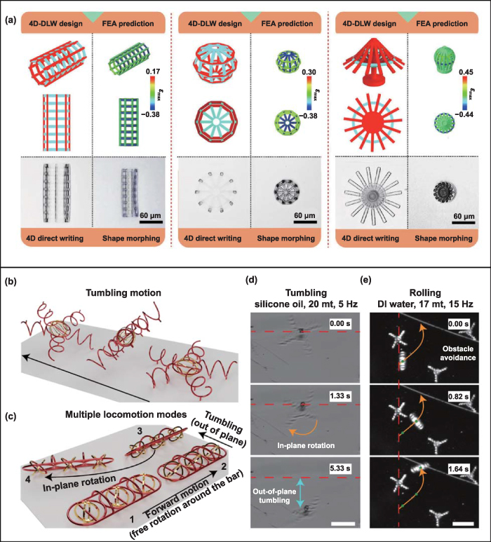 Two-photon polymerization-based 4D printing and its applications ...