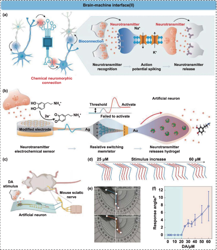 Advances in memristor based artificial neuron fabrication-materials ...