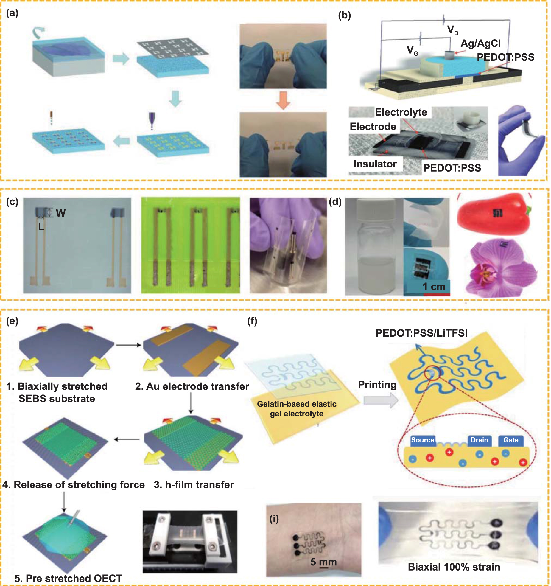 Device design principles and bioelectronic applications for flexible ...