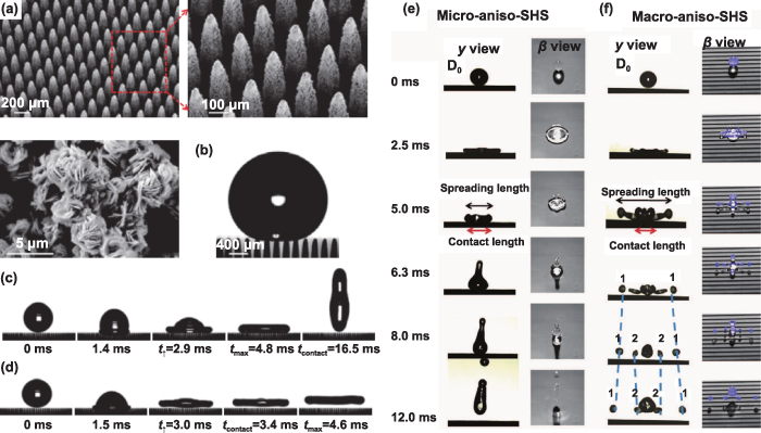 Recent progress in bio-inspired macrostructure array materials with ...