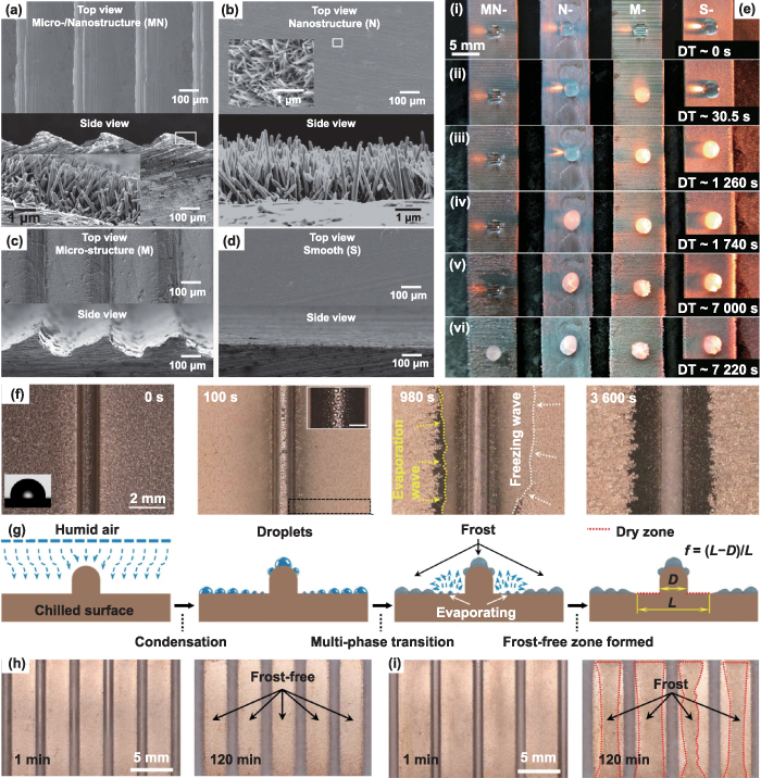 Recent progress in bio-inspired macrostructure array materials with ...