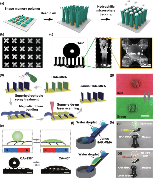 Recent progress in bio-inspired macrostructure array materials with ...