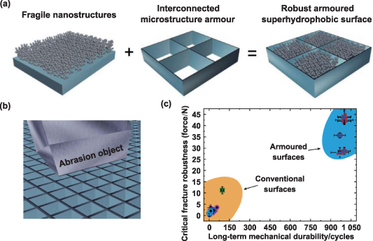 Recent progress in bio-inspired macrostructure array