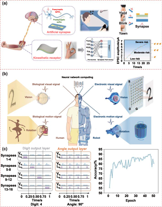 Recent advances in fabrication and functions of neuromorphic system ...