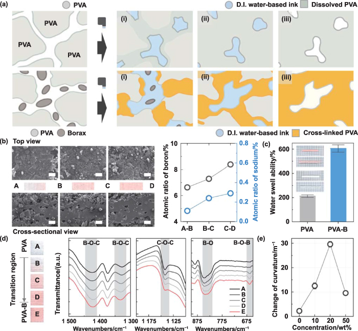 Multimorphic Storage Direct 4D printing of functionally graded hydrogel networks for ...