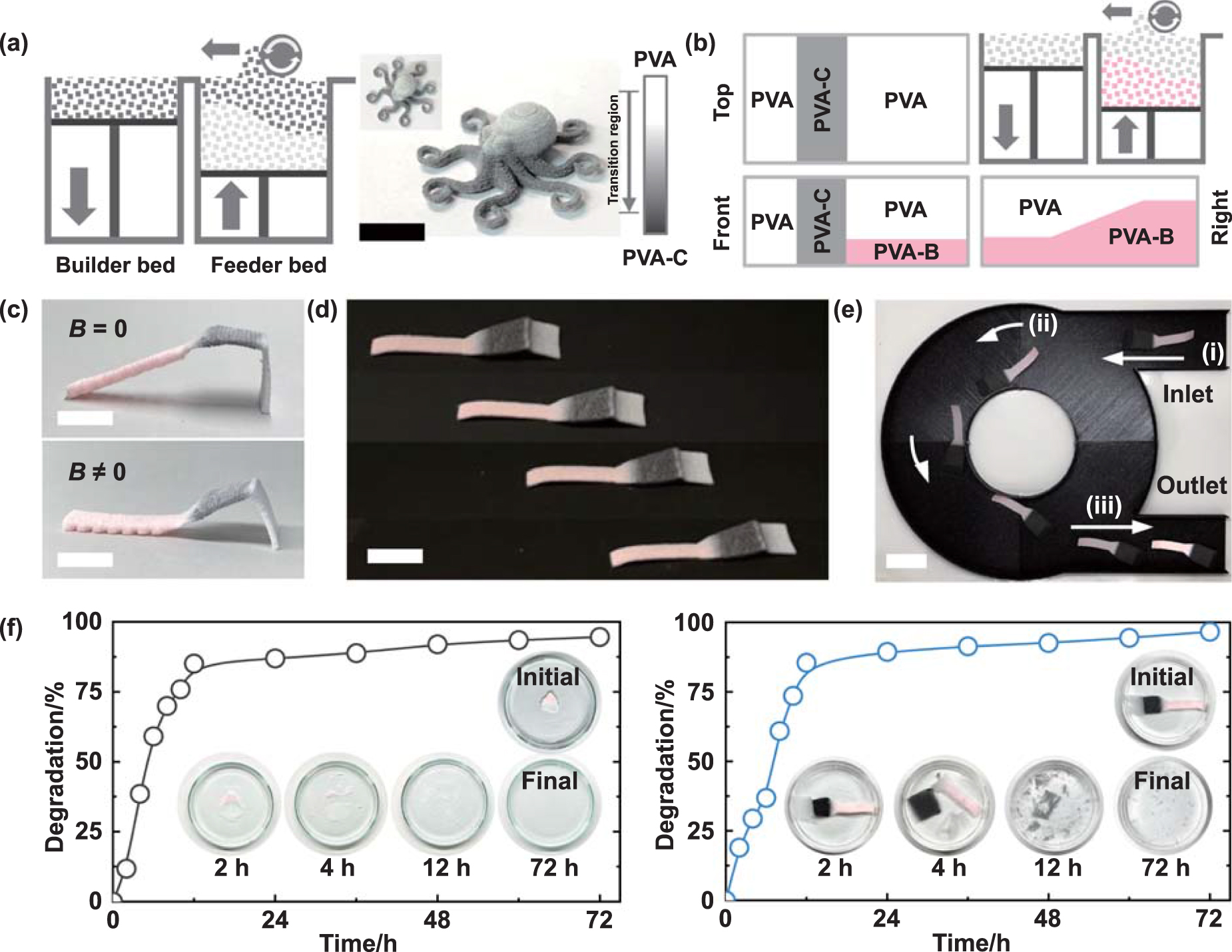 Direct 4D printing of functionally graded hydrogel networks for ...