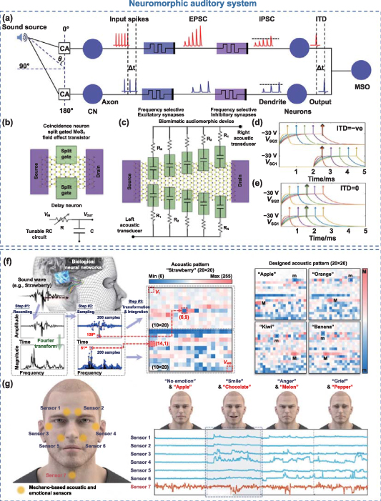 2D multifunctional devices: from material preparation to device ...