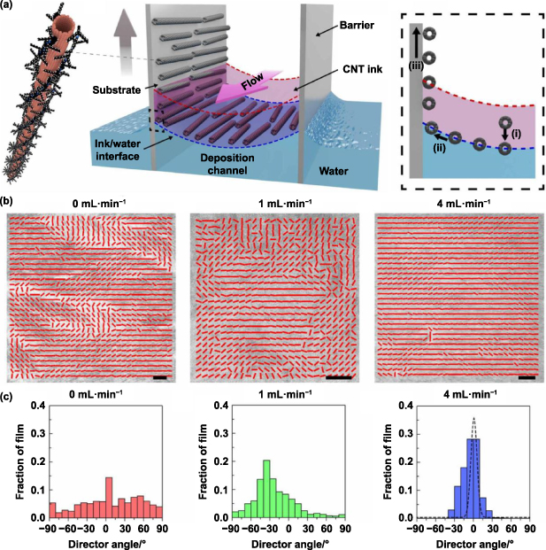Carbon nanotube integrated circuit technology: purification, assembly ...