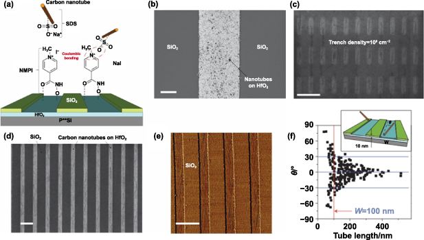 Carbon nanotube integrated circuit technology: purification, assembly ...