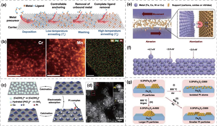 アクシス Epigenetic regulation of autophagy by non-coding RNAs and