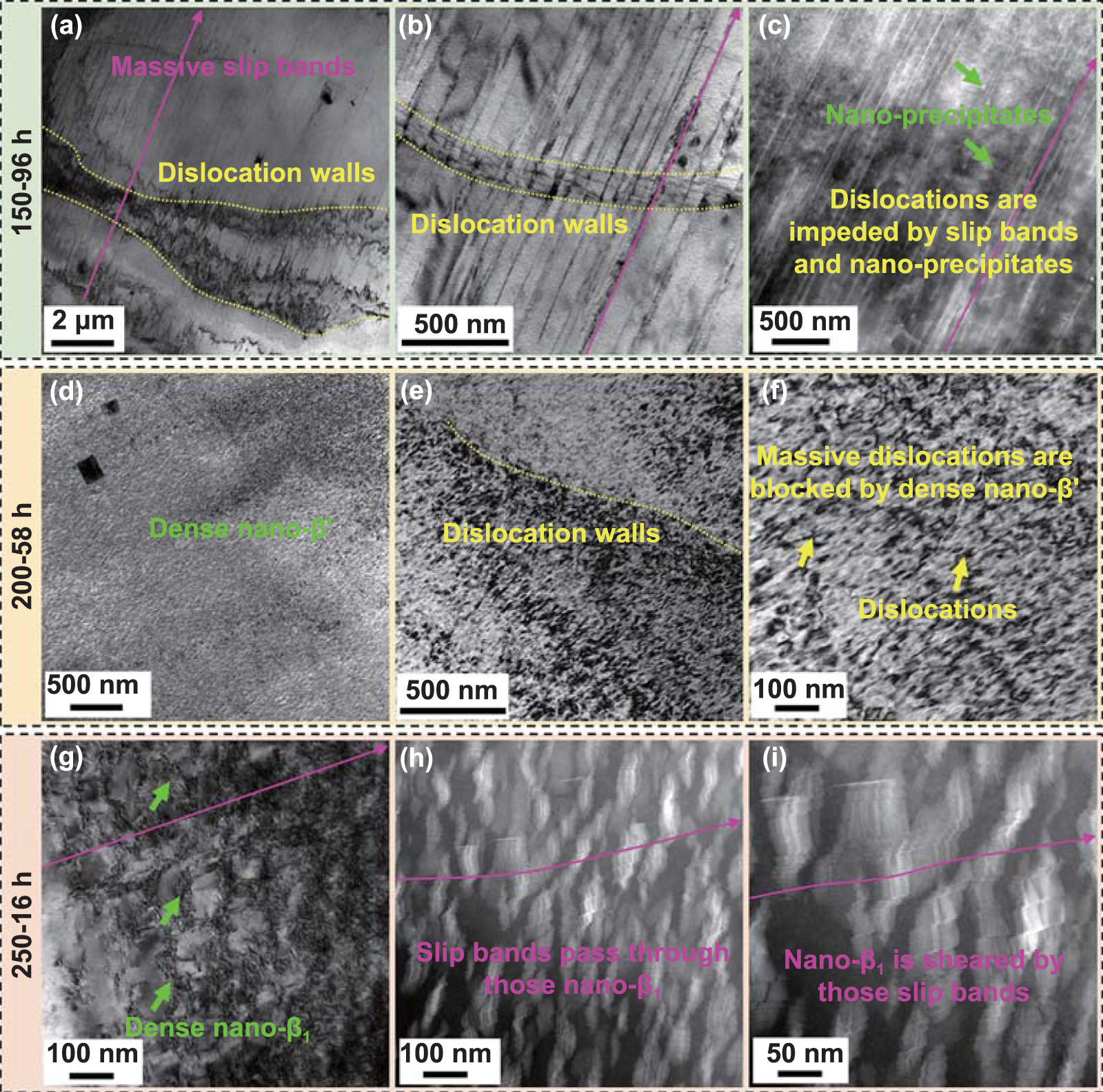 Revealing precipitation behavior and mechanical response of wire