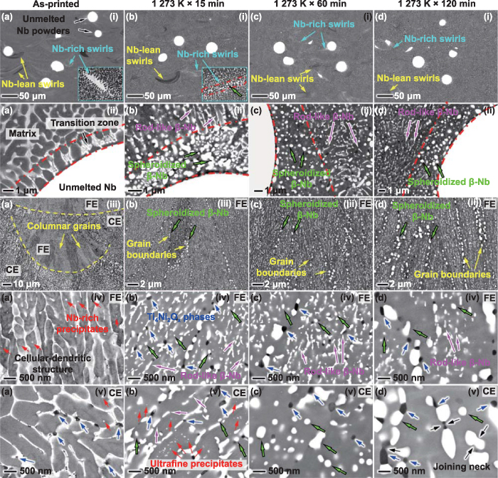 Microstructure Functional Materials Effect of solution treatment on the microstructure, phase ...