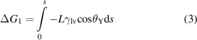Equation (3)