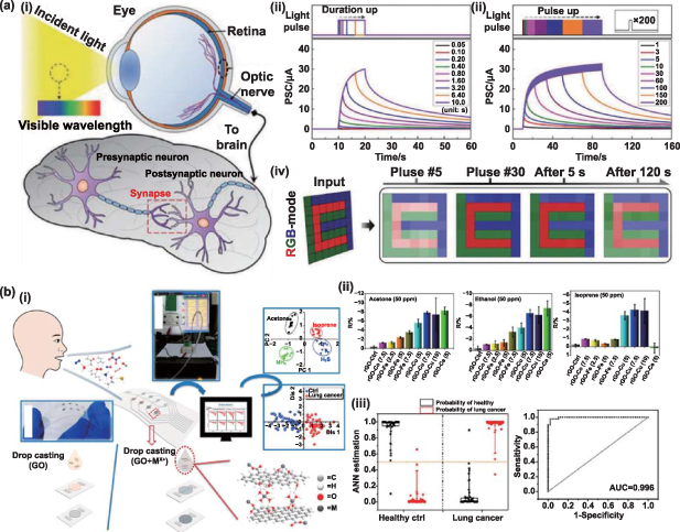 Solution-processing approach of nanomaterials toward an artificial ...