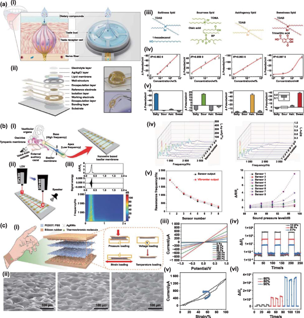 Solution-processing approach of nanomaterials toward an artificial ...