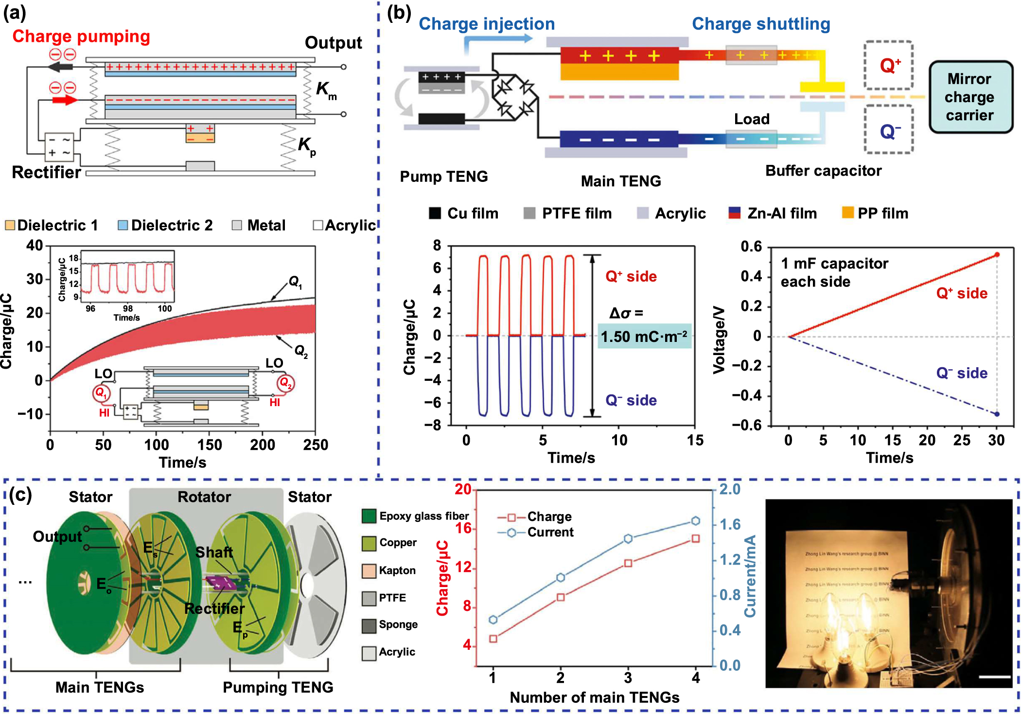 NM 専用 Frontiers | Physalin A Inhibits MAPK and NF-κB Signal