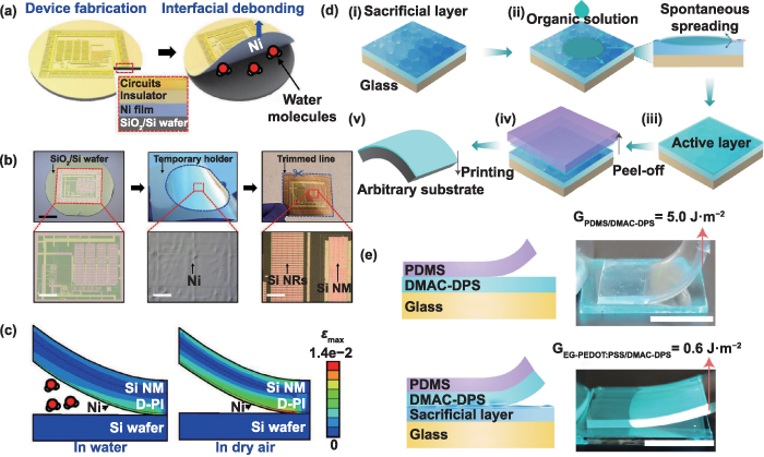 Advancements in transfer printing techniques for flexible electronics ...