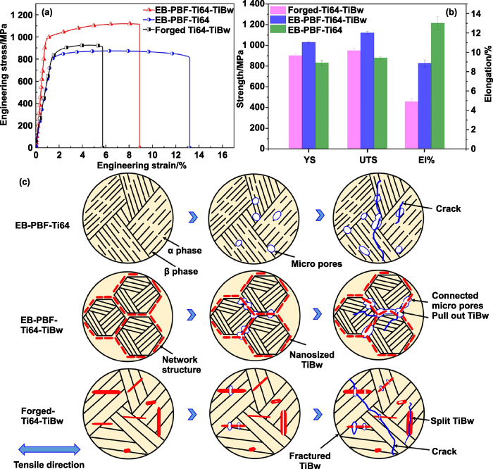 An overview of additively manufactured metal matrix composites ...