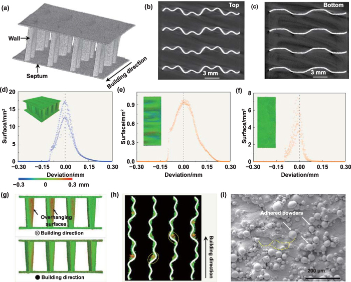 Design and additive manufacturing of bionic hybrid structure inspired ...