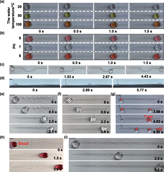 Synergistically biomimetic platform that enables droplets to be self ...