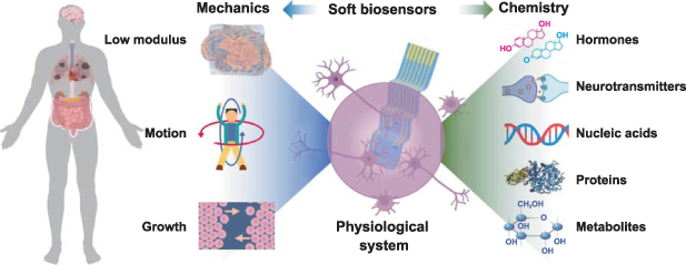 Design and manufacturing of soft electronics for in situ biochemical ...