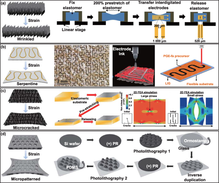 Design and manufacturing of soft electronics for in situ biochemical ...