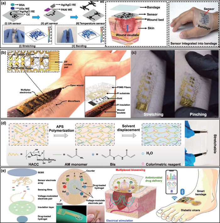Design and manufacturing of soft electronics for in situ biochemical ...