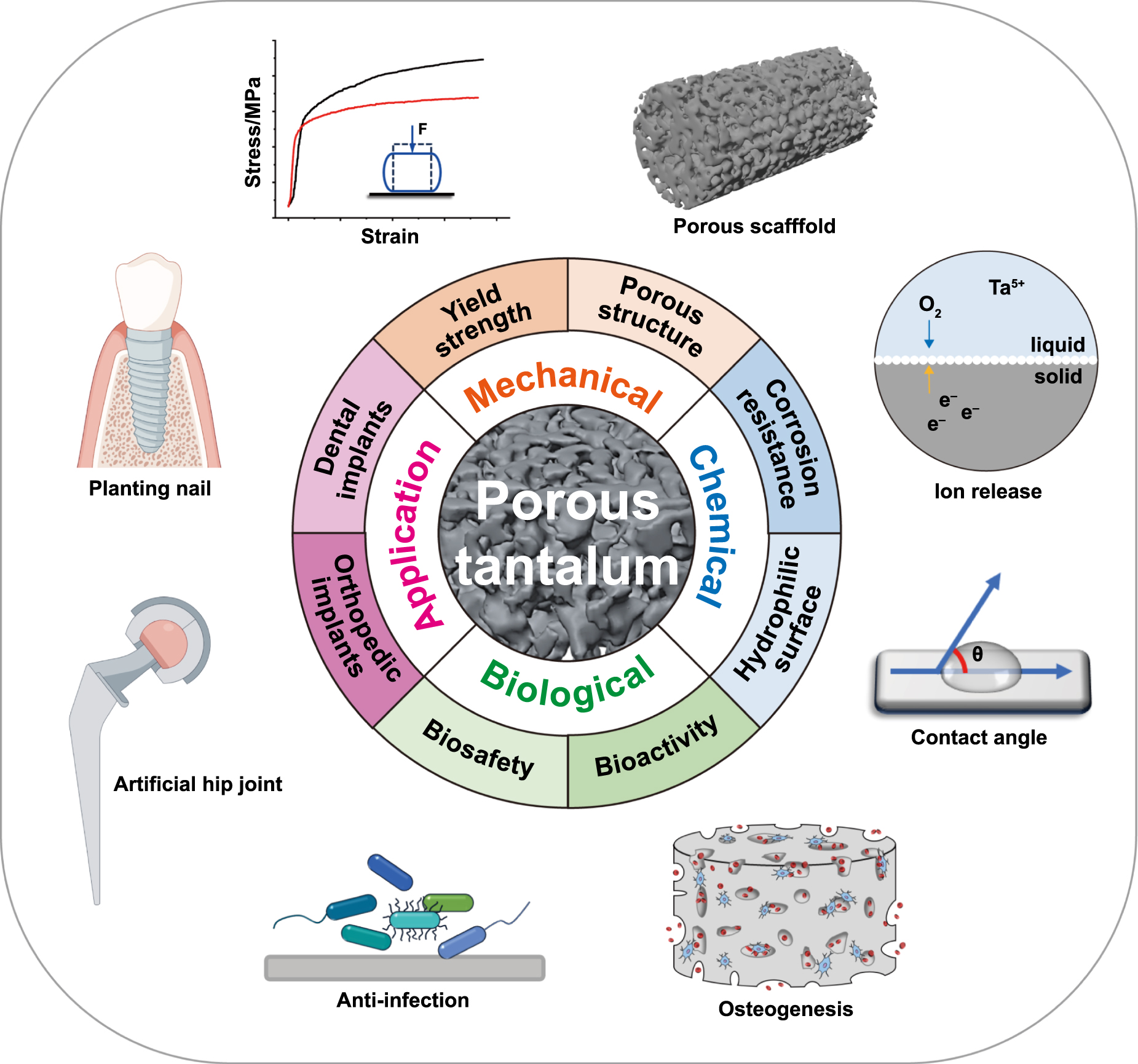 その他 Thus Preparation of Porphyrin-Based Unimolecular Micelles for
