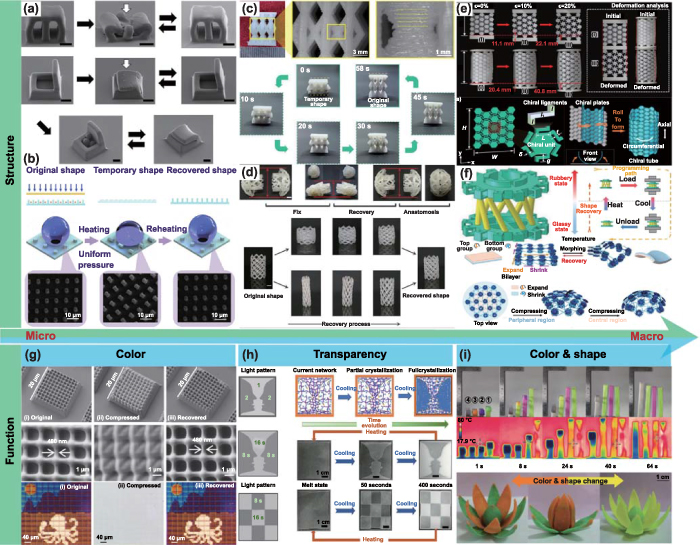 Mechanism and manufacturing of 4D printing: derived and beyond the ...